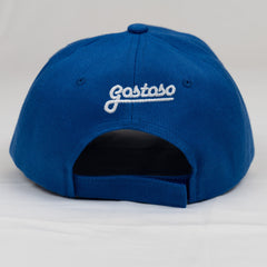 New 3D Puff Blue Gostoso Stripes Logo Embroidered Baseball Hat